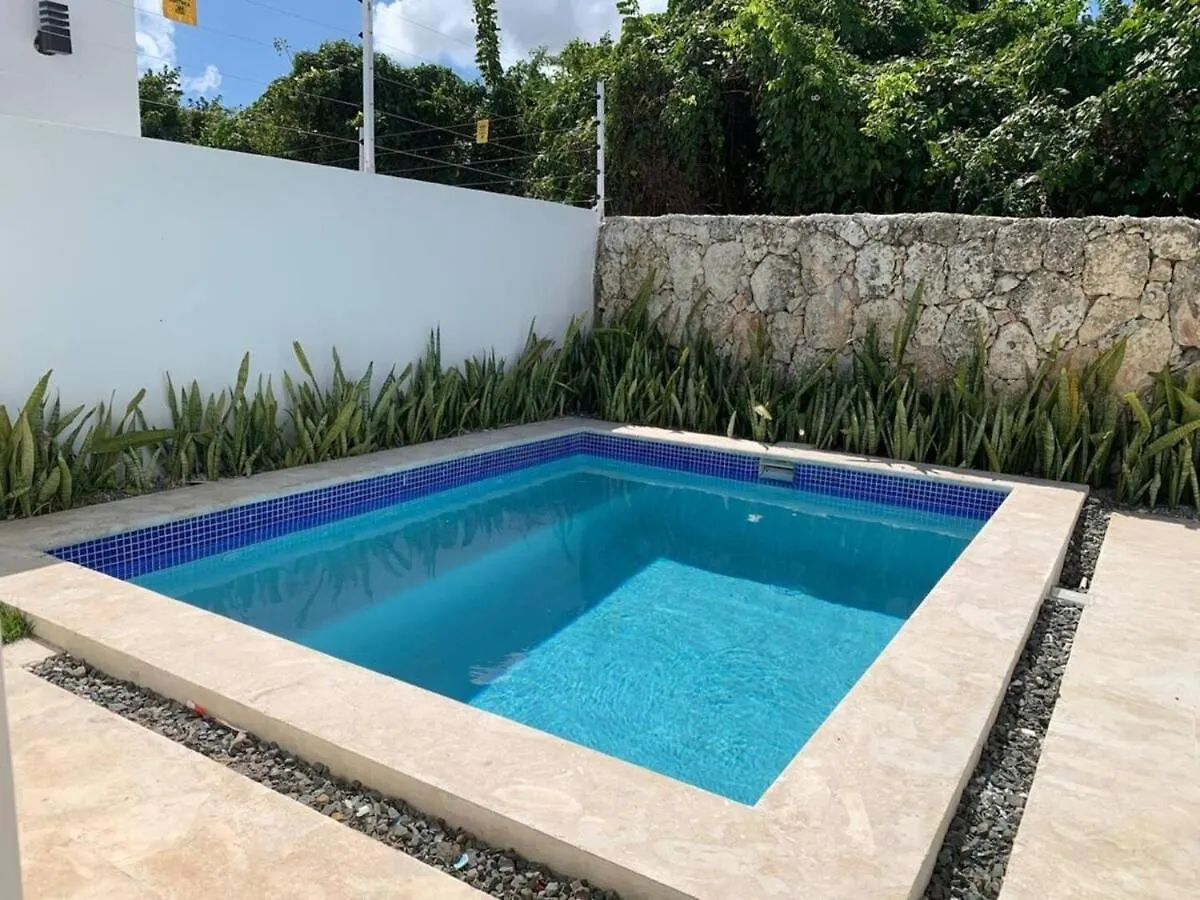 Luxury Villa In Punta Cana