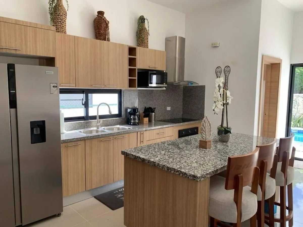 Luxury Villa In Punta Cana